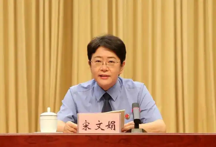 宋文娟.png
